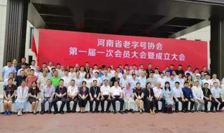 全网都在找河南金子